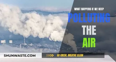 Air Pollution's Impact: A Dire Warning for Our Future