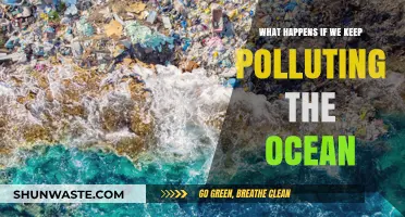 Ocean Pollution: Understanding the Devastating Impact on Our Future