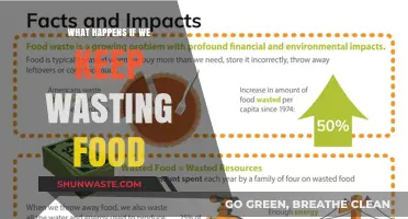 The Consequences of Food Waste: A Growing Global Concern