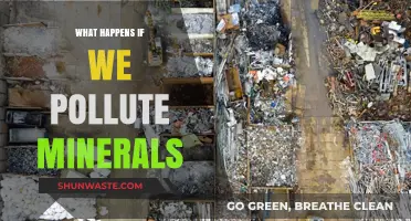 Mineral Pollution: Its Impact and Our Future