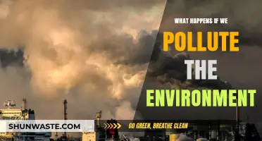 The Devastating Impact of Environmental Pollution