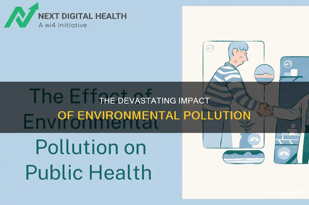 what happens if we pollute the environment