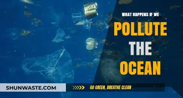 Ocean Pollution: Understanding the Devastating Impact on Marine Life