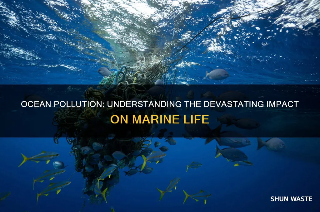 what happens if we pollute the ocean