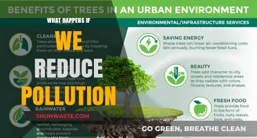 A Greener Future: Reducing Pollution's Impact