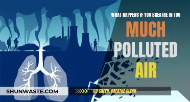 Breathing Polluted Air: Understanding the Health Risks
