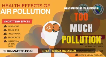 Breathing Pollution: Its Impact on Your Health