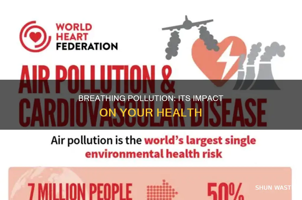 what happens if you breathe in too much pollution