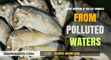 Toxic Waters: Eating Fish, Shellfish from Polluted Sources