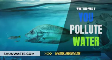 The Devastating Impact of Water Pollution: A Global Crisis