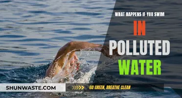 Swimming in Polluted Waters: The Hidden Dangers Unveiled