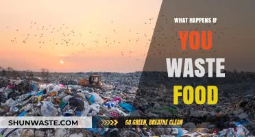 The Hidden Consequences of Wasting Food: A Deep Dive