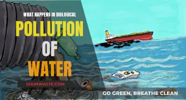 Unseen Water Contaminants: The Hidden Dangers of Biological Pollution