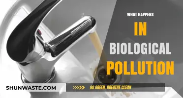 The Dark Side of Nature: Biological Pollution Explained