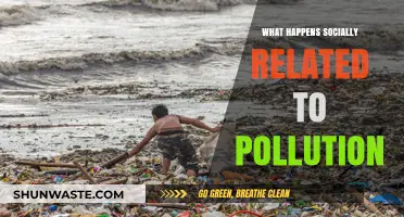 Pollution's Social Impact: A Community's Health and Wellbeing