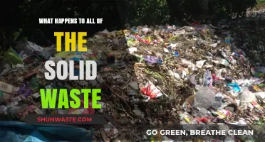 Where Does Our Trash Go? The Journey of Solid Waste Explained