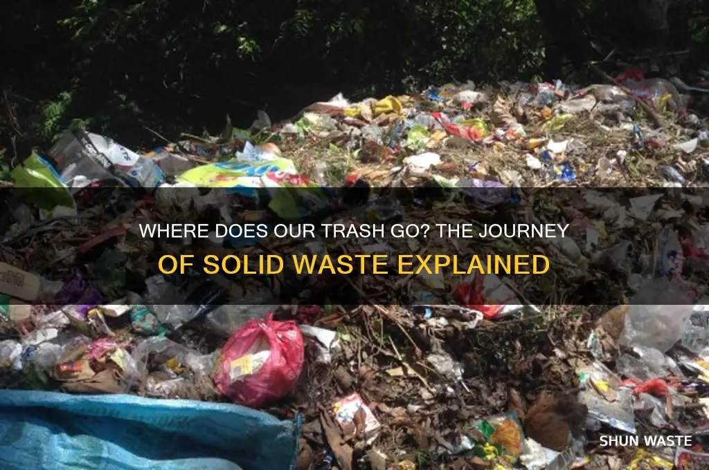 what happens to all of the solid waste
