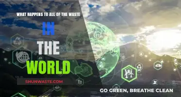 Global Waste Crisis: Where Does Our Trash Really End Up?