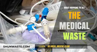 Unveiling the Journey: Where Does Medical Waste Really End Up?