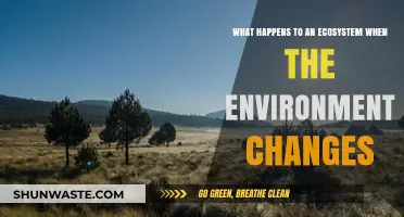 Ecosystem Shifts: How Environmental Changes Reshape Biodiversity and Balance