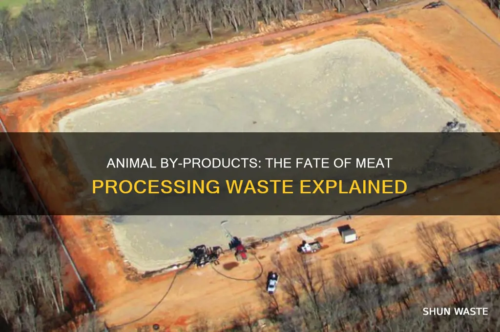 what happens to animal body part waste from meat processing