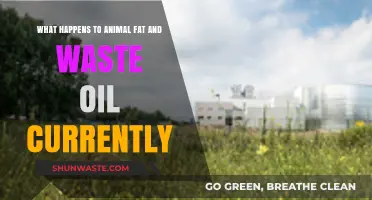 Animal Fat and Waste Oil: Current Disposal and Recycling Practices