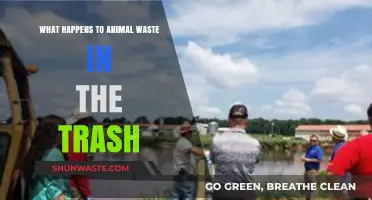 Animal Waste in Trash: Environmental Impact and Proper Disposal Methods