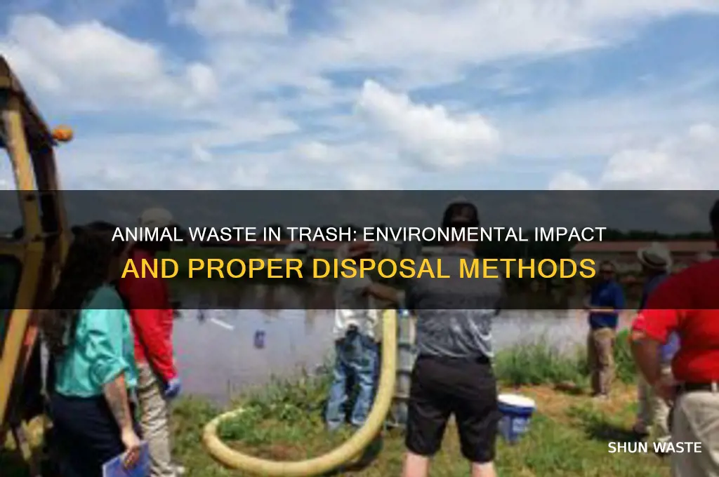 what happens to animal waste in the trash