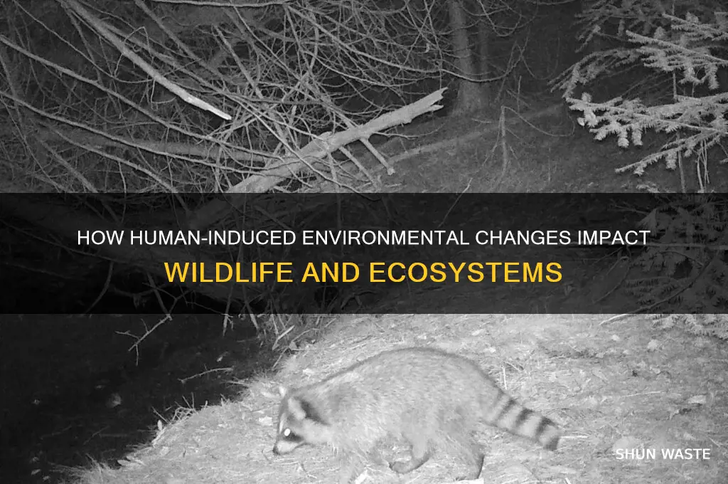 what happens to animals when humans change their environment