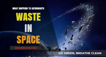 Astronauts' Waste Management: How Spacefarers Handle Human Byproducts in Orbit