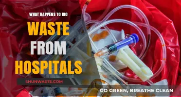 Hospital Bio-Waste Disposal: Processes, Challenges, and Environmental Impact Explained