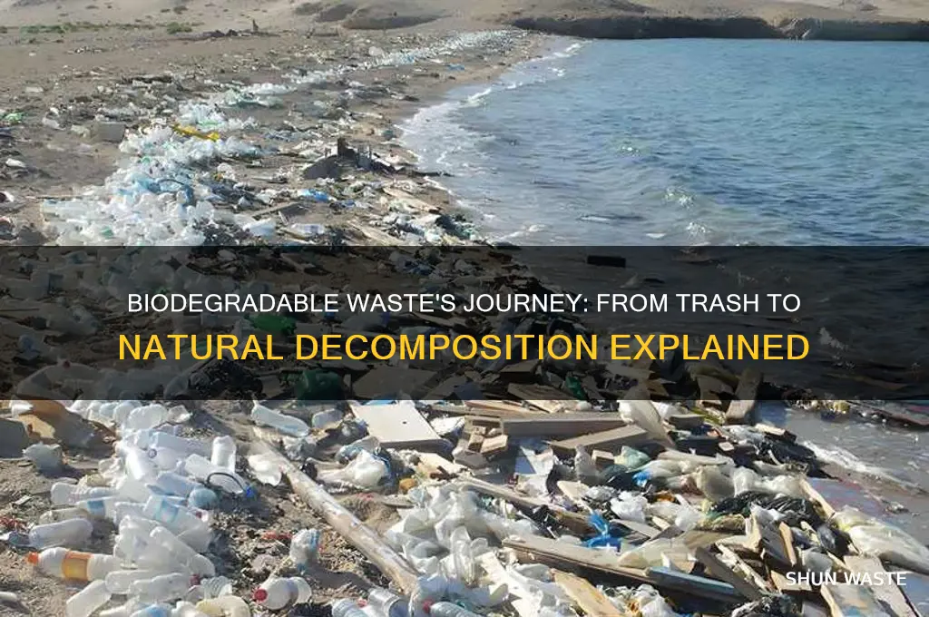 what happens to biodegradable waste when they are thrown