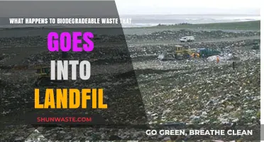 Biodegradable Waste in Landfills: Unseen Consequences and Environmental Impact