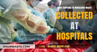 Hospital Biohazard Waste: Disposal, Treatment, and Environmental Impact Explained