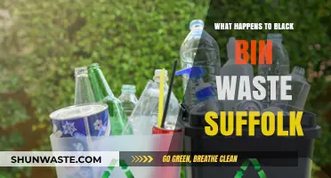 Suffolk's Black Bin Waste Journey: Collection, Processing, and Environmental Impact