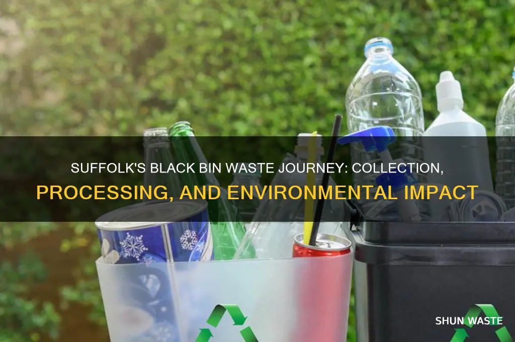 what happens to black bin waste suffolk