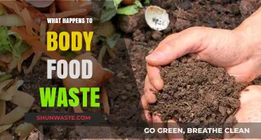 The Journey of Food Waste: From Plate to Planet