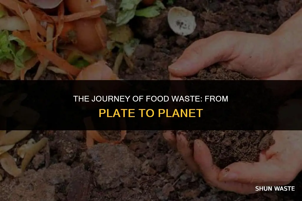 what happens to body food waste