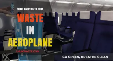 Where Does It Go? The Journey of Airplane Waste Disposal