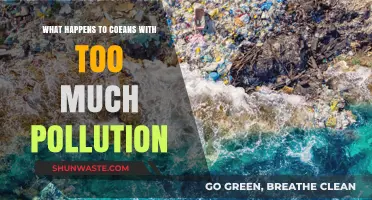 Ocean Pollution: Understanding the Devastating Impact