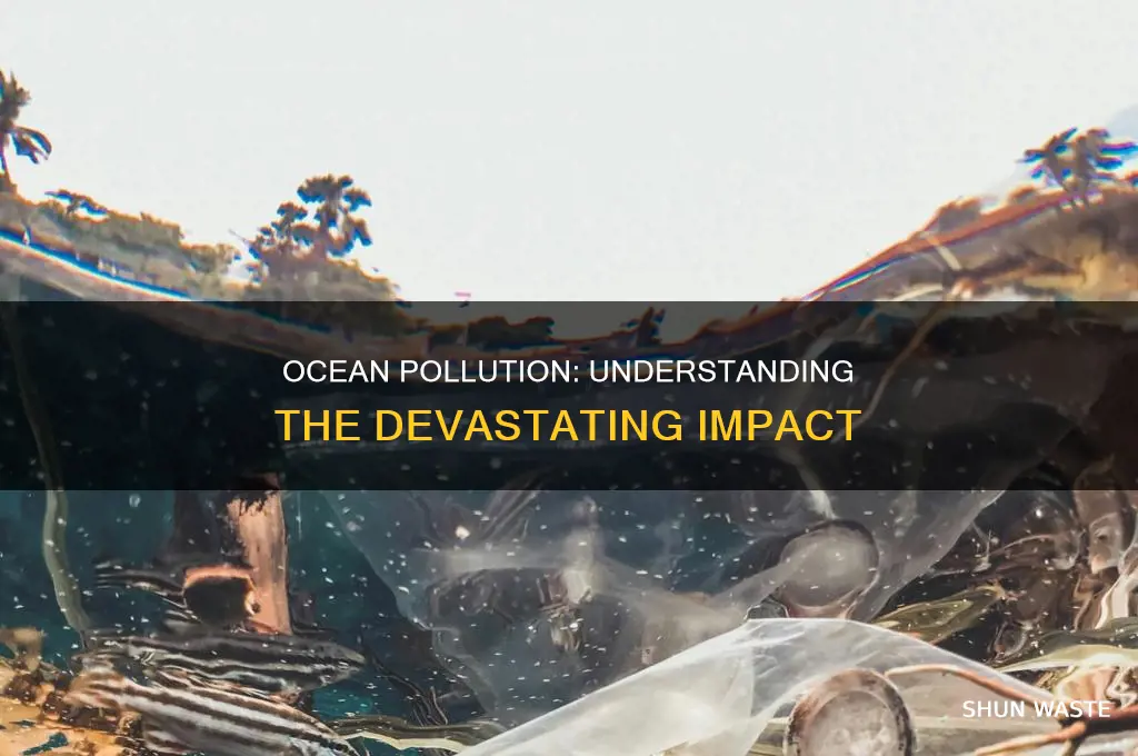 what happens to coeans with too much pollution