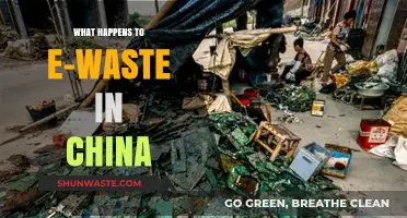 China's E-Waste Crisis: Recycling, Dumping, and Environmental Impact