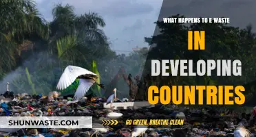 E-Waste Crisis: Developing Nations' Struggle with Electronic Waste Disposal