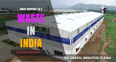 India's E-Waste Crisis: Uncovering Recycling Realities and Environmental Impacts