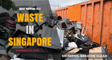 Singapore's E-Waste Journey: Recycling, Disposal, and Environmental Impact