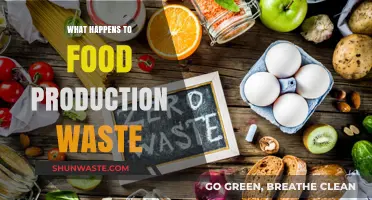 From Farm to Waste: The Unseen Journey of Food Production Byproducts
