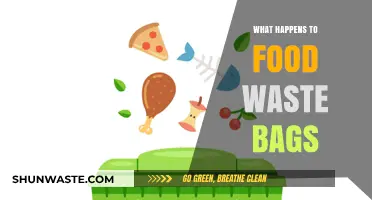 The Unseen Journey: What Really Happens to Our Food Waste Bags?