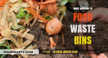 The Journey of Food Waste Bins: From Kitchen to Compost