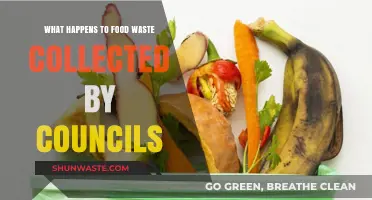 From Scraps to Resources: The Journey of Council-Collected Food Waste