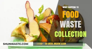 From Scraps to Resources: The Journey of Food Waste Collection